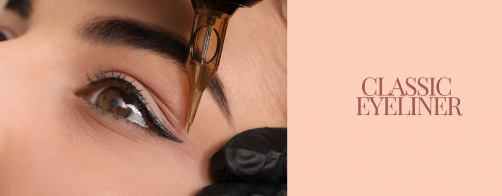 Certified PMU UK Training 3